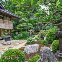 トリップアドバイザー提供