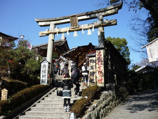 トリップアドバイザー提供