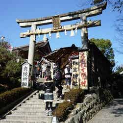 トリップアドバイザー提供