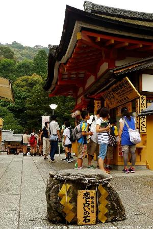 トリップアドバイザー提供