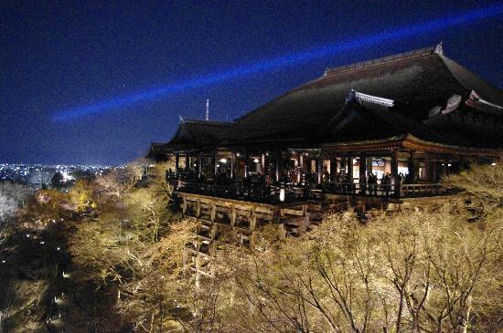 トリップアドバイザー提供