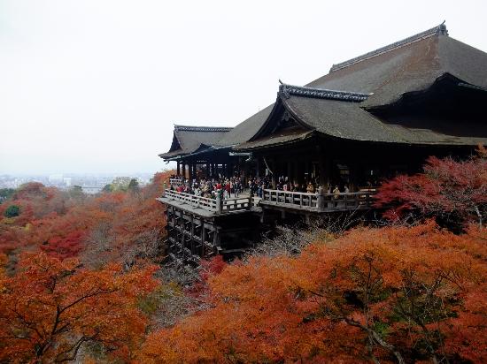 トリップアドバイザー提供