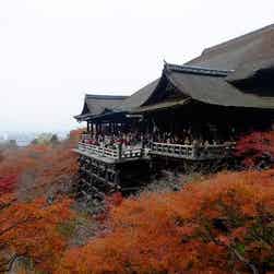 トリップアドバイザー提供