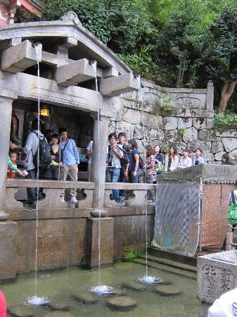 トリップアドバイザー提供