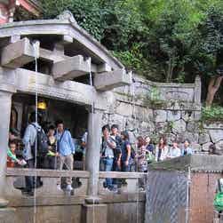 トリップアドバイザー提供