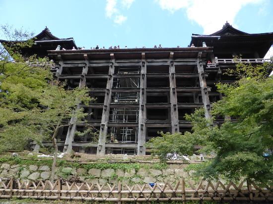 トリップアドバイザー提供