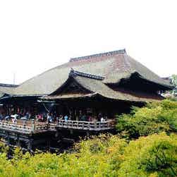 トリップアドバイザー提供