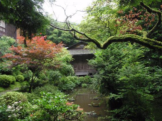 トリップアドバイザー提供