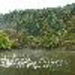 トリップアドバイザー提供