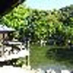 トリップアドバイザー提供