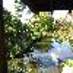 トリップアドバイザー提供