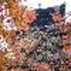 トリップアドバイザー提供